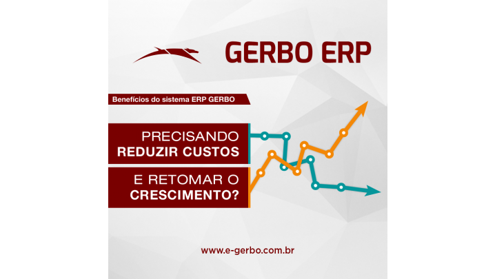 Gerbo ERP - Contábil e Não Contábil