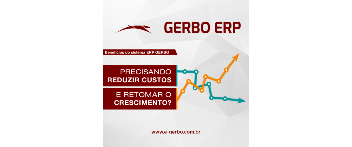 Gerbo ERP - Contábil e Não Contábil